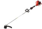 21.2cc 05317 Unbranded String Trimmer Weed Eater Grass Cycle Gas 0617576005317