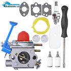 545081848 0749029999024 Anxingo Carburetor Air Filter Fuel Line Kit Fits