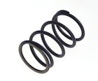 12103-z010110-0000 Ryobi New Genuine Homelite Valve Spring Part