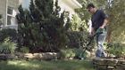 20989 Weed Eater String Trimmer 7449940520989