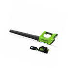 2400702 Greenworks 24v Cordless Leaf 841821018481