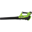 2400802 Greenworks Cordless Axial Battery 0841821018498