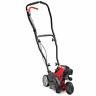 25a-304-766 Gas Edger 084931848627