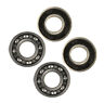 530032124-530032125-2pk Weed Eater Pack Of Genuine Oem Replacement Bearings 719896918923