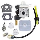 678512683389 Ikadeer Echo Brushcutter System Fuel Maintenance Kit Carburetor