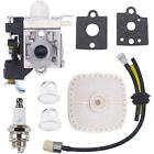 Rb-k106 6817310243898 Atoparts Carburetor With Repower Kit Air Filter Spark