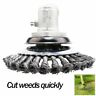 6inch-150mmsteel001 Unbranded Steel Wire Rust Removal Weeding Cutter Trimmer Head Grass