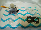 787893728579 Kipa Carburetor Kit For Homelite Ryobi Craftsman Poulan