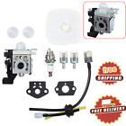 A021001690 Unbranded For Zama Echo Carburetor Air Filter Fuel 713289309336