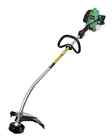 Cg22eap2slb Hitachi 2-cycle Gas Powered Curved Shaft String Trimmer 21cc 717709019300
