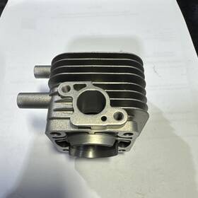 A130001120 Echo Cylinder Genuine Oem Free Shipping