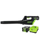 Gbl80300 Greenworks 80v 500cfm Cordless 841821014544