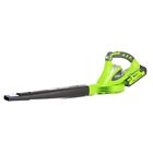 Gw24252 Greenworks Cordless Garden Tool Forty Volt Electric Leaf Blower Sweeper