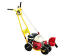 52933320014 Na Mclane Ft Lb Edger Sidewalk Briggs Engine
