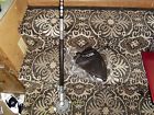 Ry15523a Straight Shaft Ryobi Expand-it