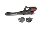 Sxdbl82k Snapper Xd Cfm Cordless Leaf Blower Kit With 047282093016