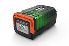 Y0l120bat2.5 Yard Force Battery Xr Fast 846325003179