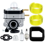 Carburetor For Ryobi RY251PH RY252CS RY254BC Cycle 25CC 307160001 Kit. Fixed Price $13.99.