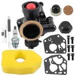New Carburetor Fit For Briggs Stratton 795476 795477 498811 795469 794147 699660. Fixed Price $199.99.