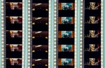 The Life Aquatic With Steve Zissou 35MM Cell Film Strip 4-PACK Bill Murray. Fixed Price $24.95.