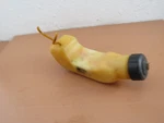 Homelite Trimlite UT20677 String Trimmer Oem Fuel Tank 09049. Fixed Price $9.99.