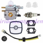 Carburetor Kit For Echo PP-1200 PP-800 TT-21A Power Pruner 12520013311. Fixed Price $15.59.