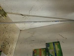 New Genuine Oem Stihl Fs 251 Trimmer Drive Shaft & Tube Complete Assembly. Fixed Price $87.49.