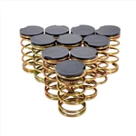 10 - Pack Genuine Oem Echo Spring And Cap V494000840 + V450001880. Fixed Price $43.39.