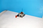 Stihl Fs 40C 56RC String Trimmer Carburetor For Parts Rebuild Zama. Fixed Price $12.99.