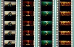 The Life Aquatic With Steve Zissou 35MM Cell Film Strip 4-PACK Bill Murray. Fixed Price $24.95.