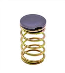 Oem Echo Spring And Cap Fits SRM-225 + More V494000840 V450001880. Fixed Price $11.55.