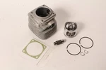 Genuine Echo P050005321 Piston & Cylinder Kit CS8000 QV8000 P050005320 Oem. Fixed Price $213.99.