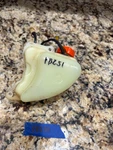 Echo Genuine PB-251/255/265 Fuel Tank Assembly Oem Used. Fixed Price $13.00.