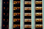 The Life Aquatic With Steve Zissou 35MM Cell Film Strip 4-PACK Bill Murray. Fixed Price $24.95.