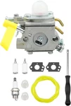309368001 Carburetor Fits Ryobi RY09050 RY09051 RY09550 RY09951 RY09605. Fixed Price $53.44.