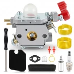 753-06288 Oem Ruixing Carburetor For Troy Bilt TB35EC TB2040XP TB2044XP TB225. Fixed Price $24.99.