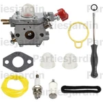 Carburetor Fit For Zama C1U-P27 Murray M25B MS2550 MS2560 MS9900 Leaf Blower. Fixed Price $15.88.