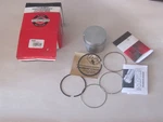 New Genuine Oem Briggs & Stratton 795691 Piston Assy. Fixed Price $100.00.