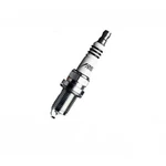 Ngk Iridium Sparkplug IFR5L11. Fixed Price $23.85.