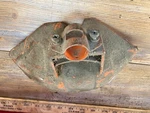 Tanaka TBC-262 String Trimmer Parts Guard. Fixed Price $31.90.