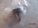 Echo A556000030 Oem Clutch Drum Some Pe Hca 230 261 2601 Free Shipping. Fixed Price $29.95.
