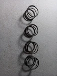 215405 (4 Pack) Genuine Echo Part Spring G2A. Fixed Price $18.70.