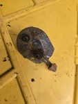 Craftsman Mtd Trimmer Choke 791-182162. Fixed Price $11.95.
