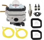 WS4200 Carburetor For 2018 Craftsman WS410 30CC Cycle Gas Trimmer. Fixed Price $28.76.