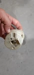 Stihl Filter Housing 41441410800. Fixed Price $7.05.