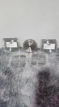 Ryobi Part # 6797329 Blade D150 X 1.5MM (5-PACK). Fixed Price $35.00.