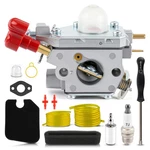 Oem Ruixing Carburetor For 25CC Two-cycle Craftsman Murray Remington Troy-bilt. Fixed Price $24.99.