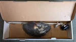 New Snapper 82V String Trimmer Attachment SST82A 1697215 Weed Eater Nib. Fixed Price $45.00.