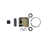 P021038790 - Piston Kit Echo Genuine Oem Part. Fixed Price $79.99.