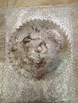 Homelite Textron 8" Saw Tooth Blade 94469-1A. Fixed Price $29.99.